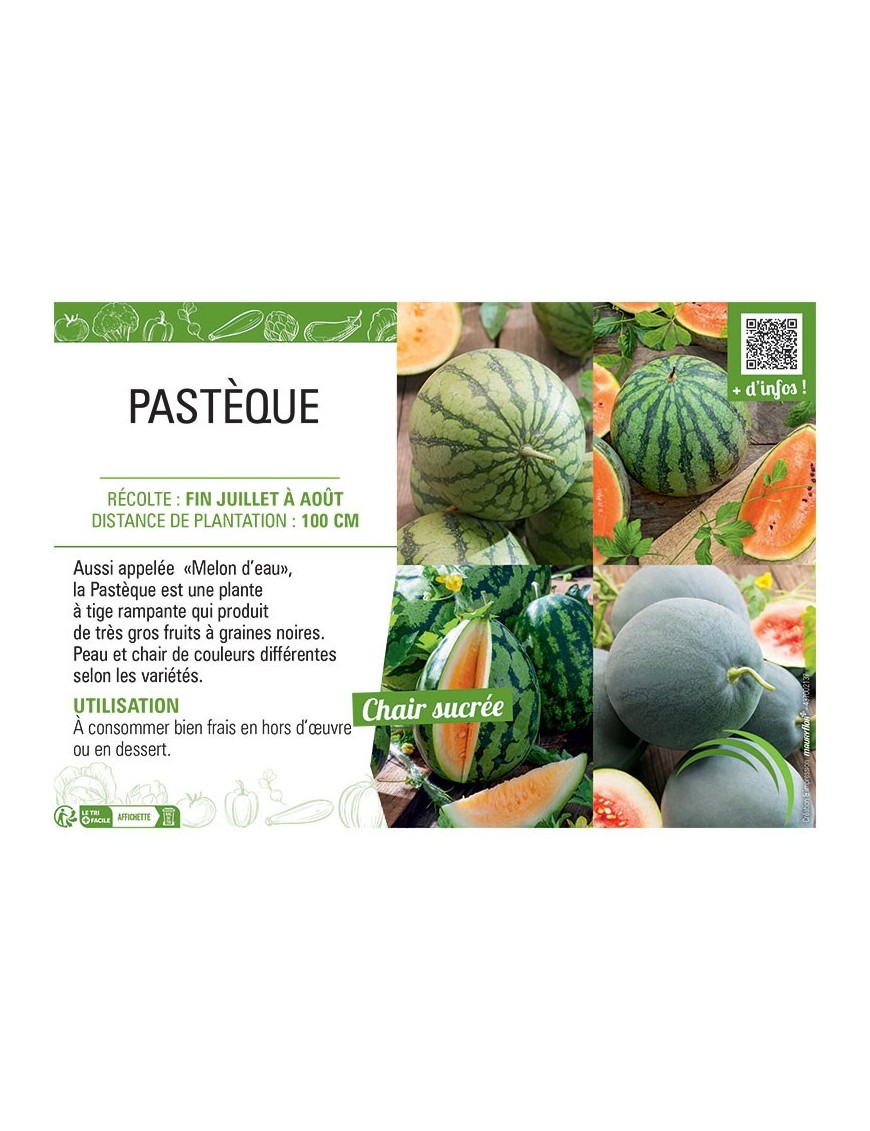 PASTÈQUE