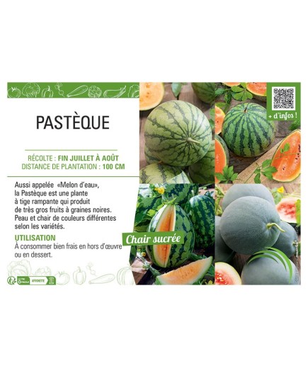 PASTÈQUE