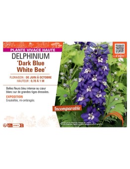 DELPHINIUM EXCALIBUR DARK BLUE