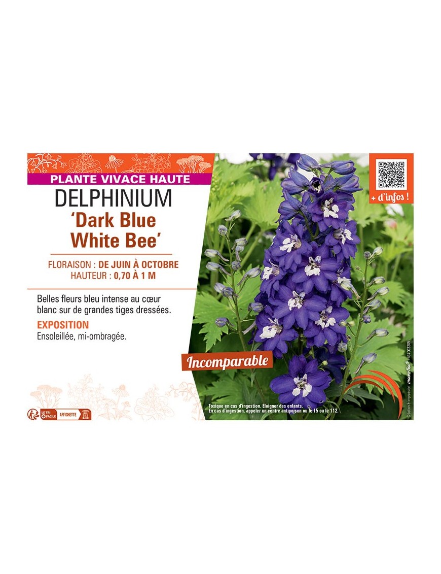 DELPHINIUM EXCALIBUR DARK BLUE