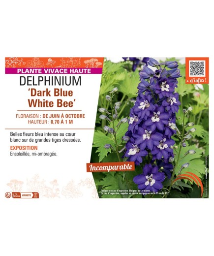 DELPHINIUM EXCALIBUR DARK BLUE