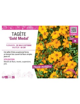 ŒILLET D'INDE GOLD MEDAL