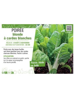 POIRÉE À CARDE BLONDE