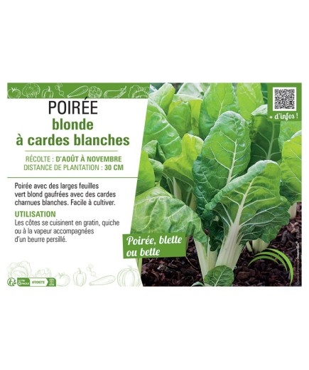 POIRÉE À CARDE BLONDE