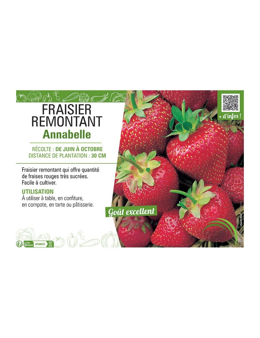 FRAISIER ANNABELLE