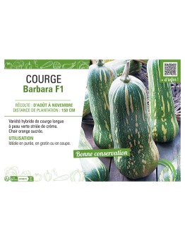 COURGE BARBARA F1