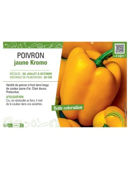 POIVRON JAUNE KROMO