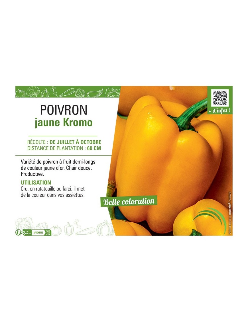 POIVRON JAUNE KROMO