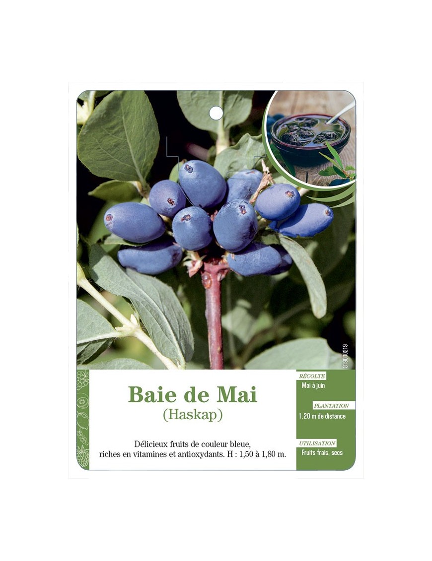 BAIE DE MAI (HASKAP)