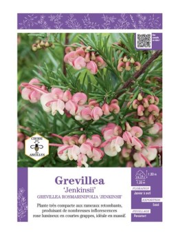 GREVILLEA ROSMARINIFOLIA JENKINSII voir Grevillea