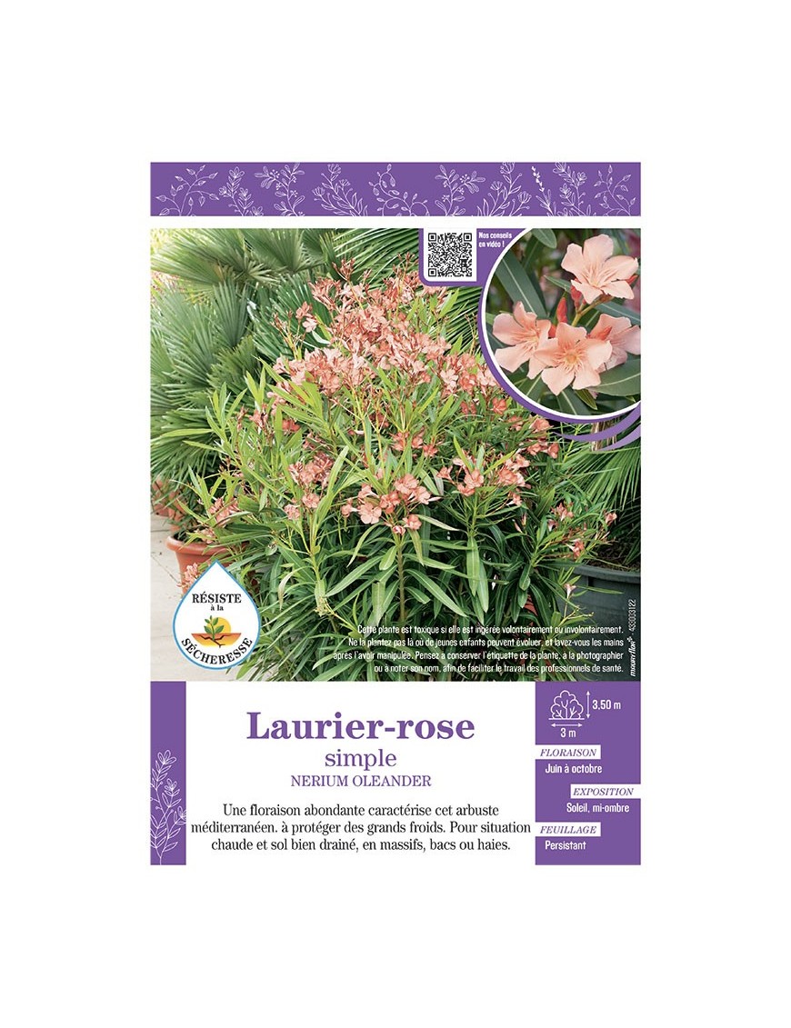 NERIUM OLEANDER voir LAURIER-ROSE SIMPLE (abricot)