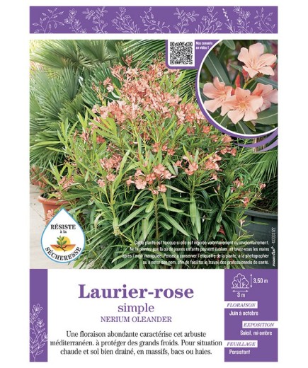 NERIUM OLEANDER voir LAURIER-ROSE SIMPLE (abricot)
