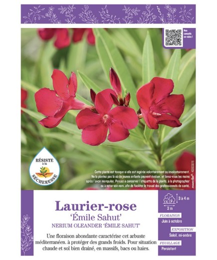 NERIUM OLEANDER EMILE SAHUT voir LAURIER-ROSE