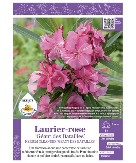 NERIUM OLEANDER GEANT DES BATAILLES voir LAURIER-ROSE