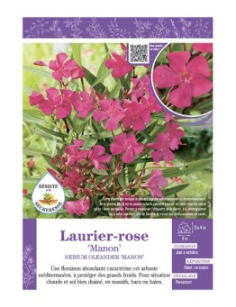NERIUM OLEANDER MANON voir LAURIER-ROSE