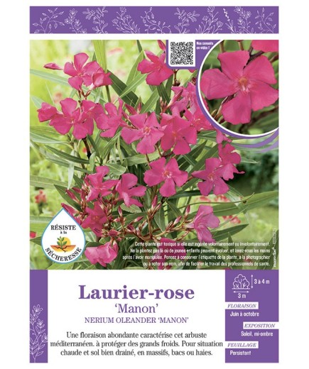 NERIUM OLEANDER MANON voir LAURIER-ROSE