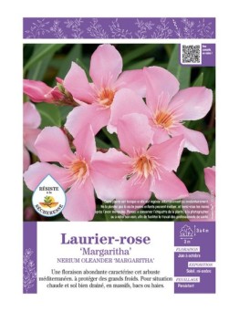 NERIUM OLEANDER MARGARITHA voir LAURIER-ROSE