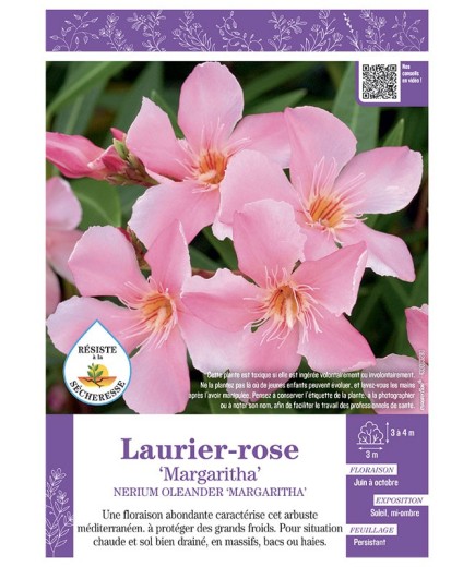 NERIUM OLEANDER MARGARITHA voir LAURIER-ROSE