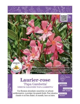 NERIUM OLEANDER PAPA GAMBETTA voir LAURIER-ROSE