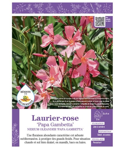 NERIUM OLEANDER PAPA GAMBETTA voir LAURIER-ROSE