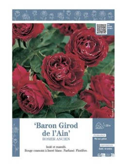 ROSIER ANCIEN BARON GIROD DE L'AIN