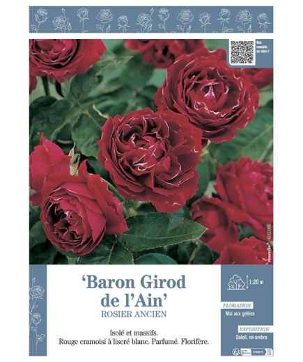 ROSIER ANCIEN BARON GIROD DE L'AIN