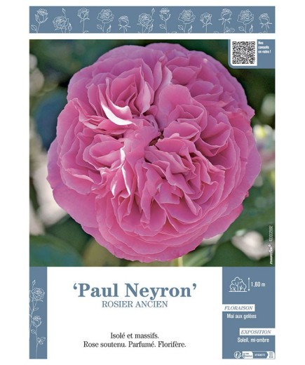 ROSIER ANCIEN PAUL NEYRON