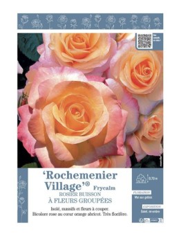 ROSIER BUISSON À FLEURS GROUPÉES ROCHEMENIER VILLAGE® Frycalm