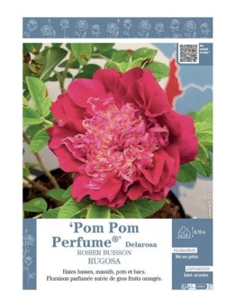 ROSIER BUISSON POM POM PERFUME® Delarosa