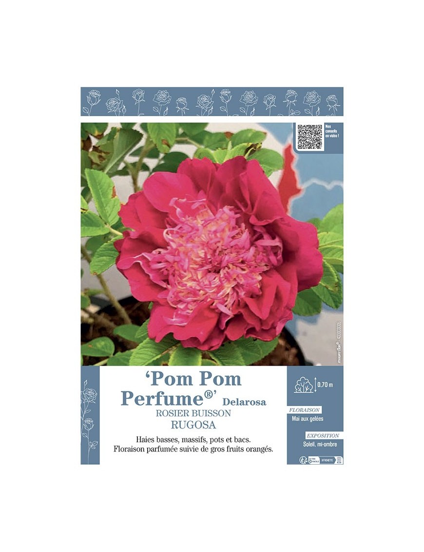 ROSIER BUISSON POM POM PERFUME® Delarosa