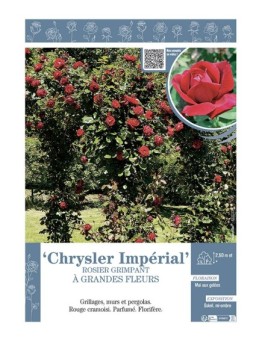 ROSIER GRIMPANT CHRYSLER IMPERIAL