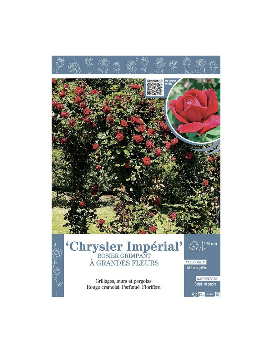 ROSIER GRIMPANT CHRYSLER IMPERIAL
