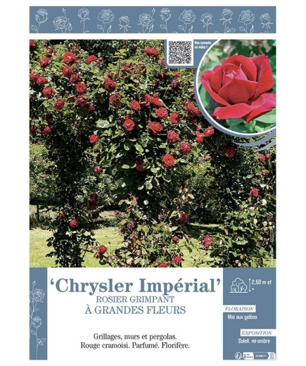 ROSIER GRIMPANT CHRYSLER IMPERIAL