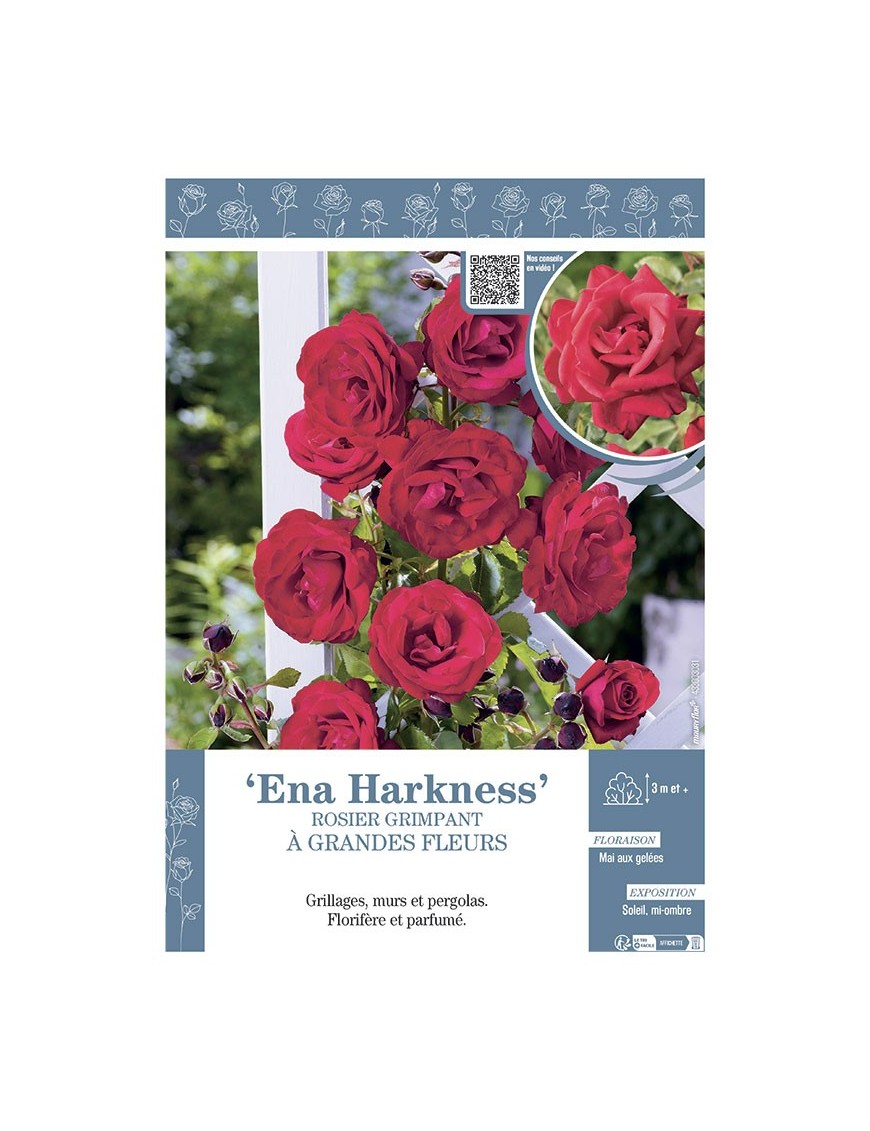 ROSIER GRIMPANT ENA HARKNESS