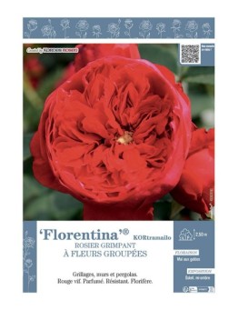 ROSIER GRIMPANT FLORENTINA® Kotramailo