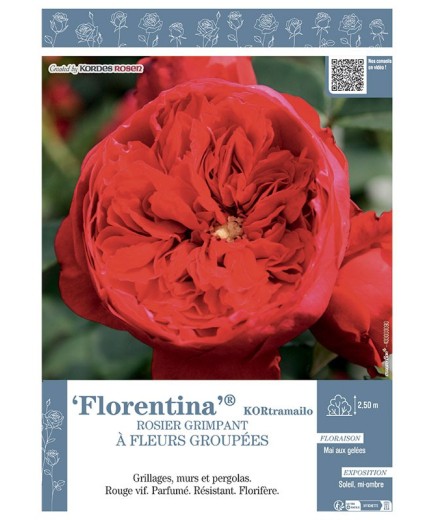 ROSIER GRIMPANT FLORENTINA® Kotramailo
