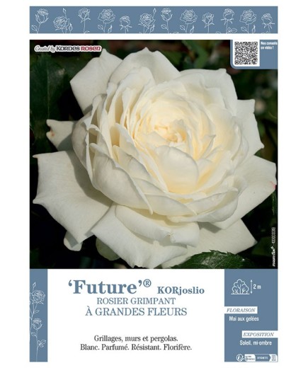 ROSIER GRIMPANT FUTURE® Korjoslio