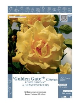 ROSIER GRIMPANT GOLDEN GATE® Korgolgat