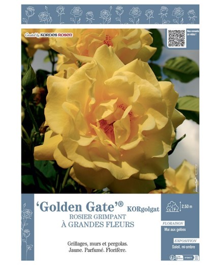 ROSIER GRIMPANT GOLDEN GATE® Korgolgat