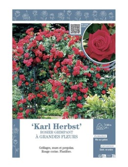 ROSIER GRIMPANT KARL HERBST