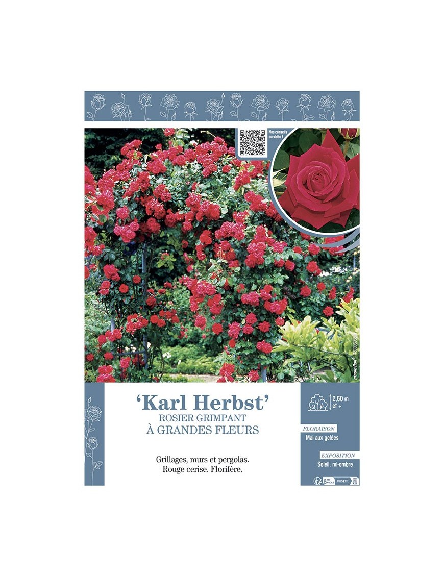 ROSIER GRIMPANT KARL HERBST