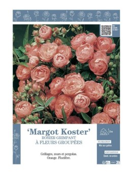 ROSIER GRIMPANT MARGOT KOSTER