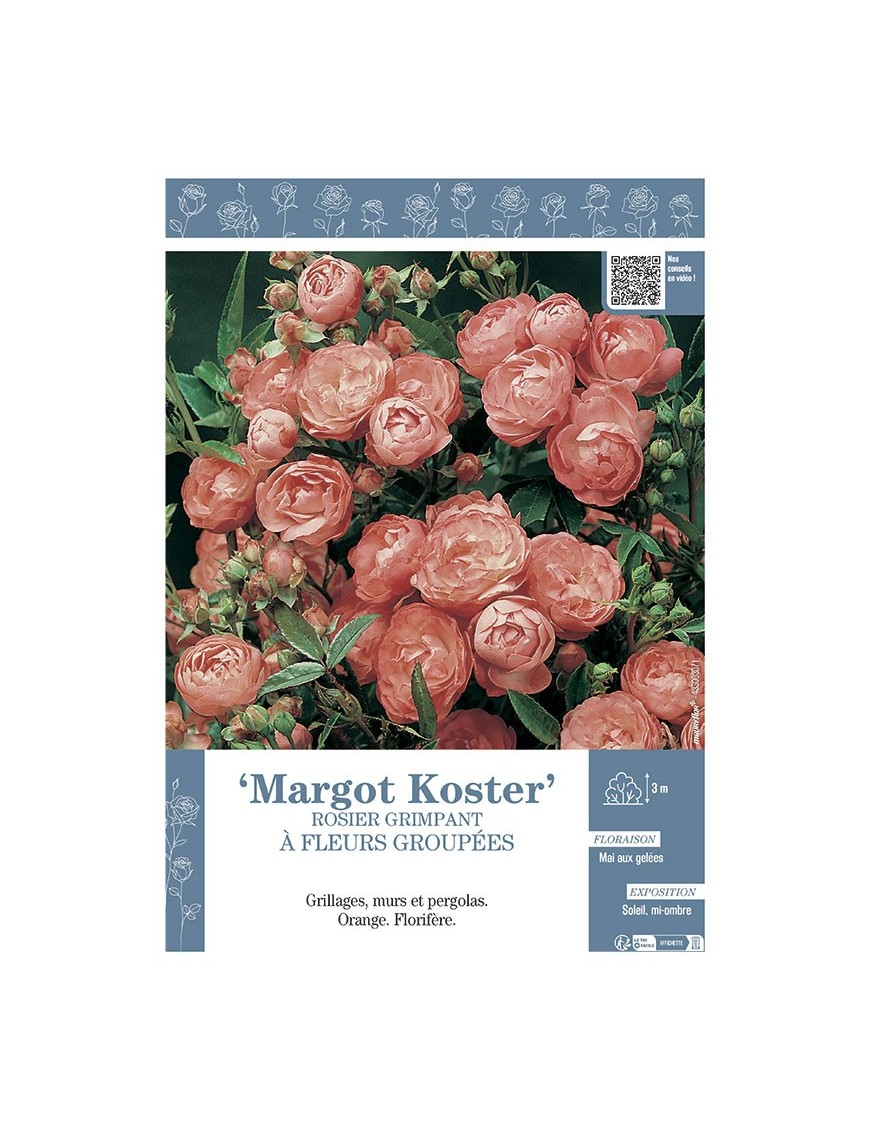 ROSIER GRIMPANT MARGOT KOSTER