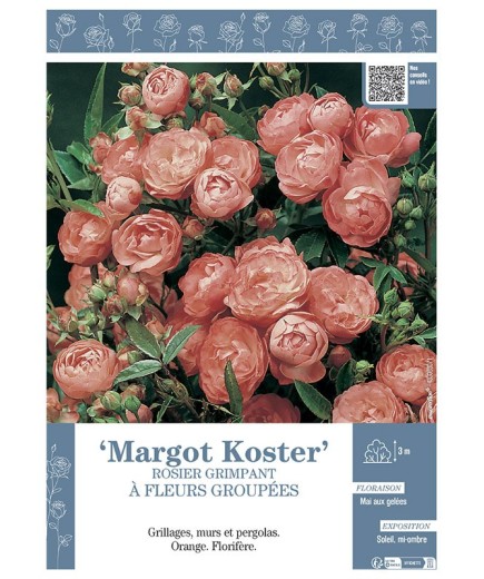ROSIER GRIMPANT MARGOT KOSTER