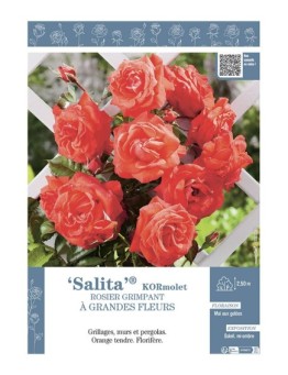 ROSIER GRIMPANT SALITA® Kormolet
