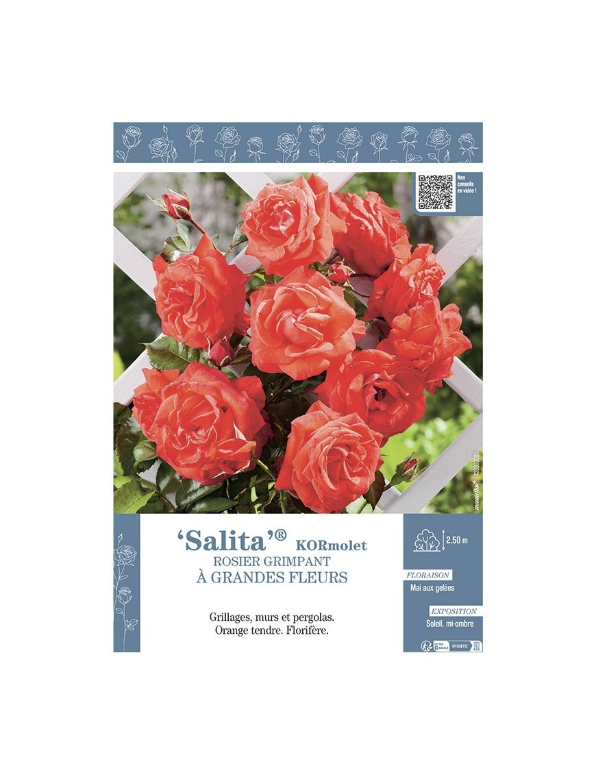 ROSIER GRIMPANT SALITA® Kormolet