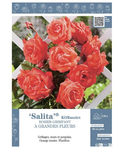 ROSIER GRIMPANT SALITA® Kormolet