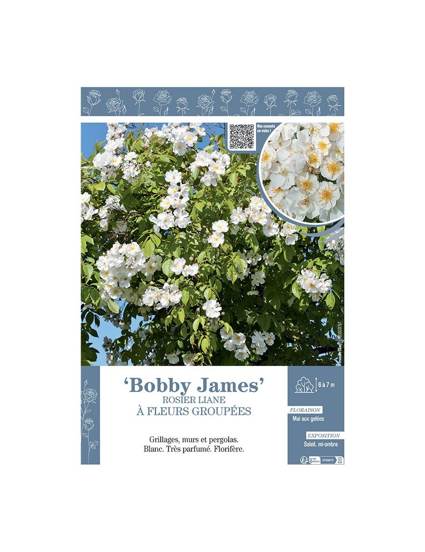 ROSIER LIANE BOBBY JAMES