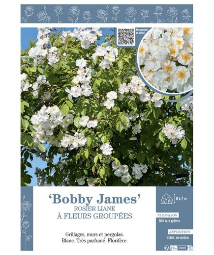 ROSIER LIANE BOBBY JAMES