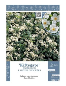 ROSIER LIANE KIFTSGATE